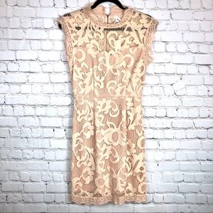Anthropologie | Lace Dress